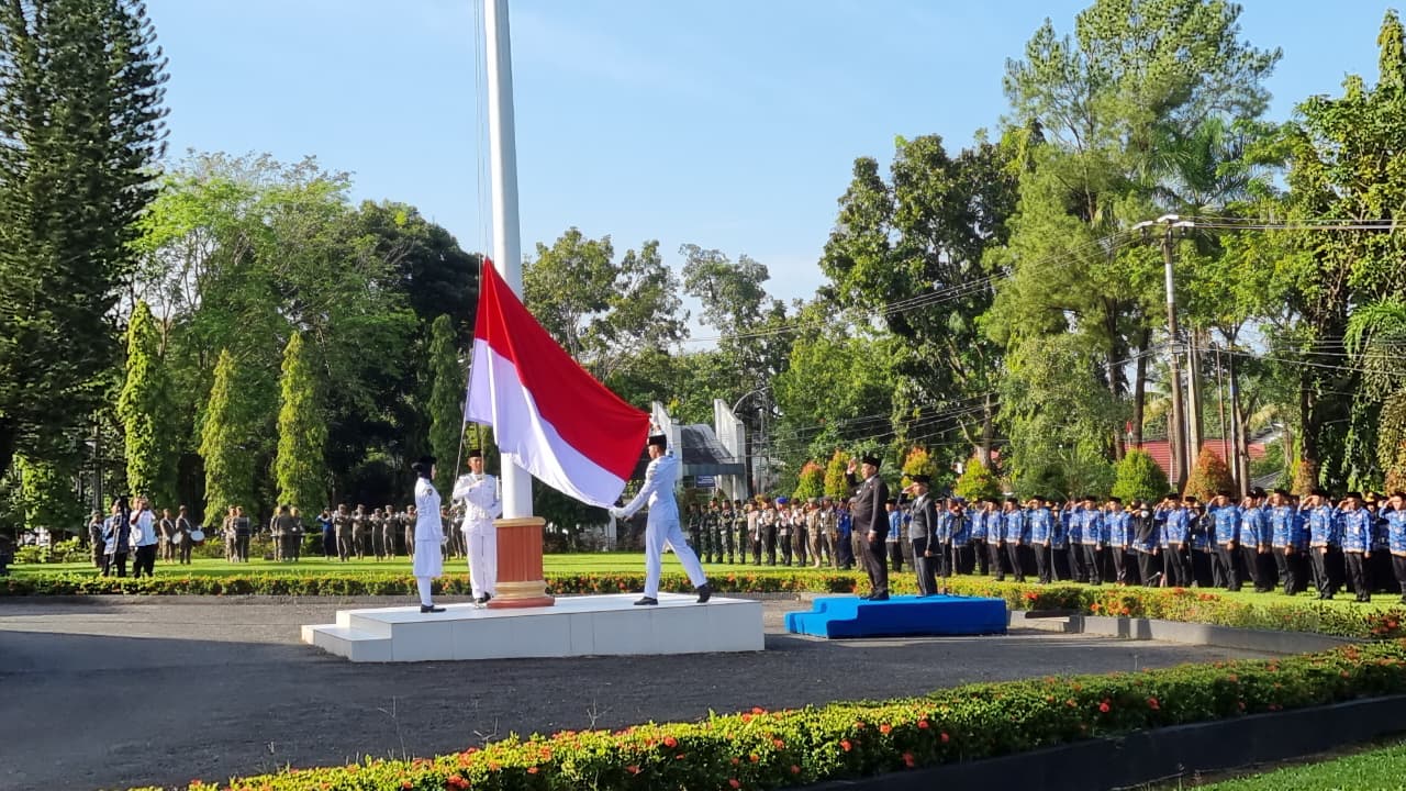 wakil 1